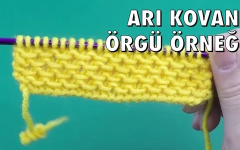 Arı Kovanı