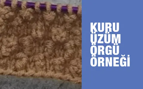 Kuru Üzüm Örgü Örneği