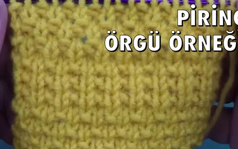Prinç Örgü #1